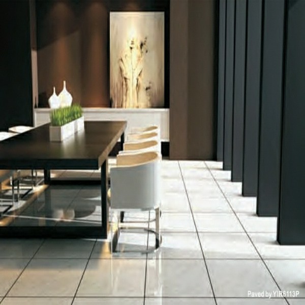 24 x 24 Porcelain Tiles